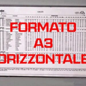 Espositore da parete per foglio singolo A3 orizzontale