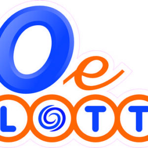 Logo adesivo 10 e Lotto per vetrina 187×350 mm